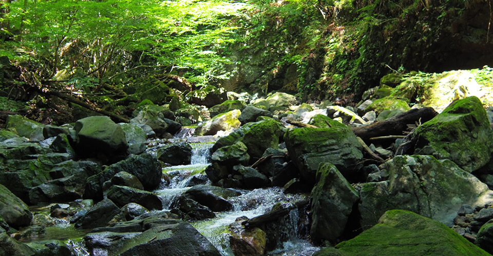 那須山の水を使用