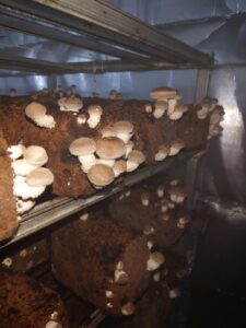 はじめまして！